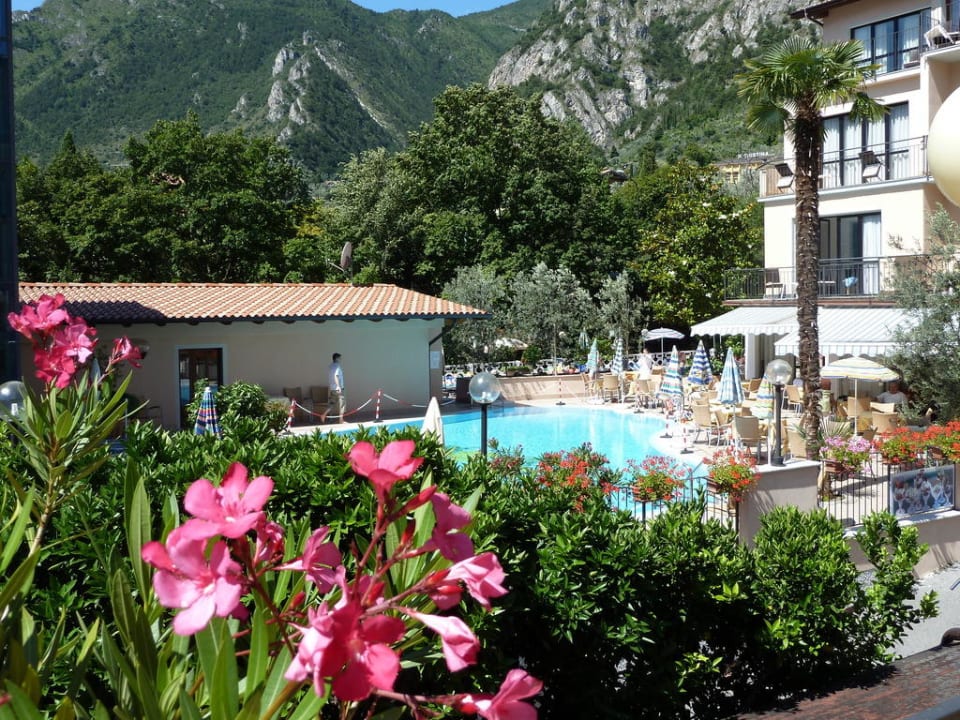 Pool mit Poolbar Hotel Garda Bellevue