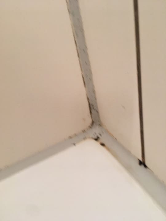 Zimmer BEECH Resort Boltenhagen