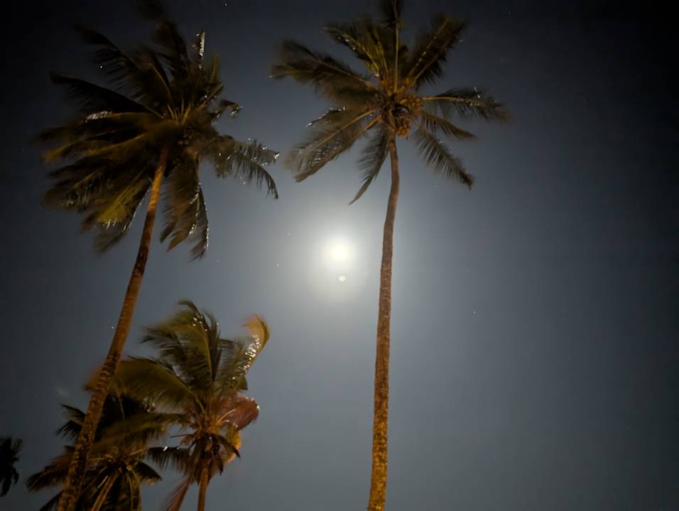 Sonstiges Neptune Paradise Beach Resort & Spa