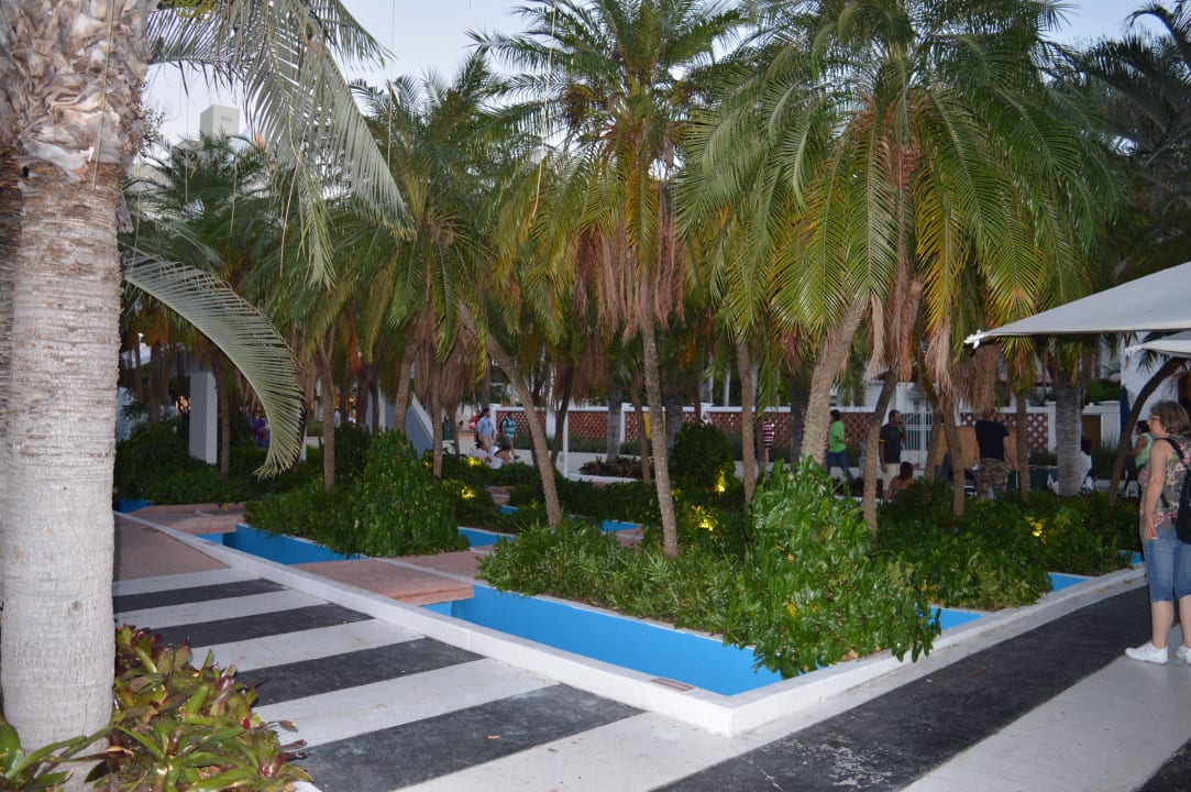 Garten Hotel Riu Plaza Miami Beach