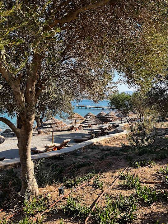 Strand Anda Barut Collection