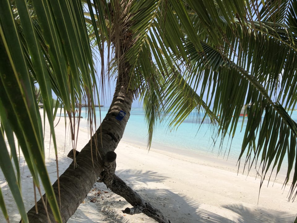 Strand Adaaran Select Hudhuran Fushi - Premium All Inclusive