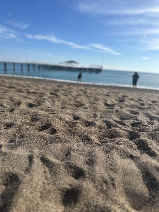 Strand Royal Seginus