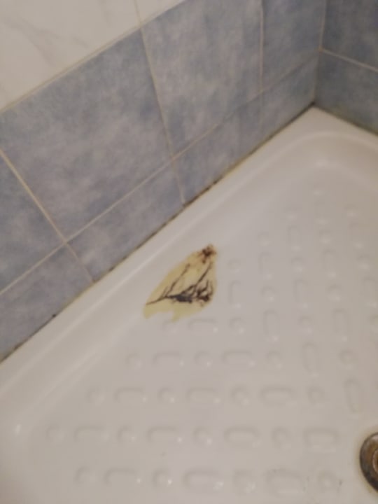 Zimmer Hotel Christian