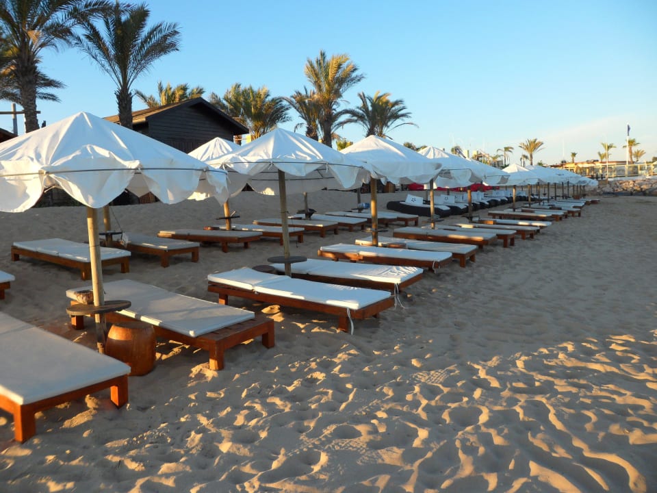 In Hotelnähe... NH Marina Portimão Resort