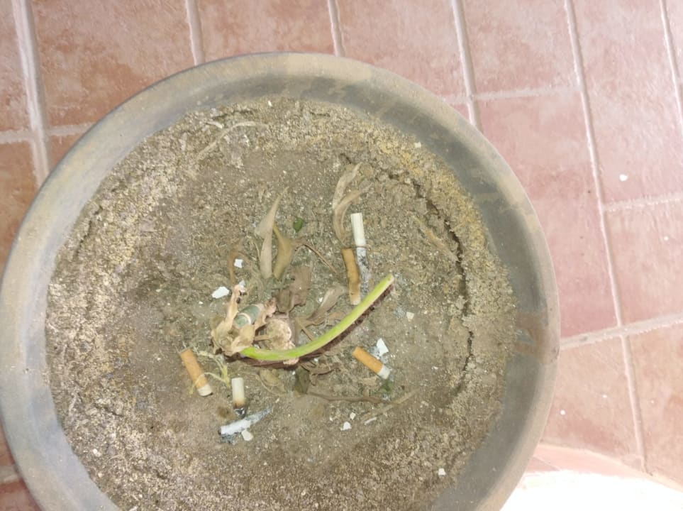 Sonstiges Three Corners Equinox Beach Resort