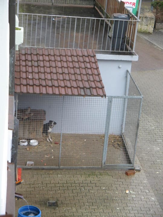 Zwingerblick Gasthof Zum Bären