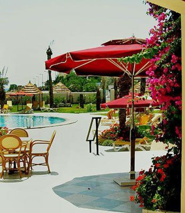 Piscine Hotel African Queen