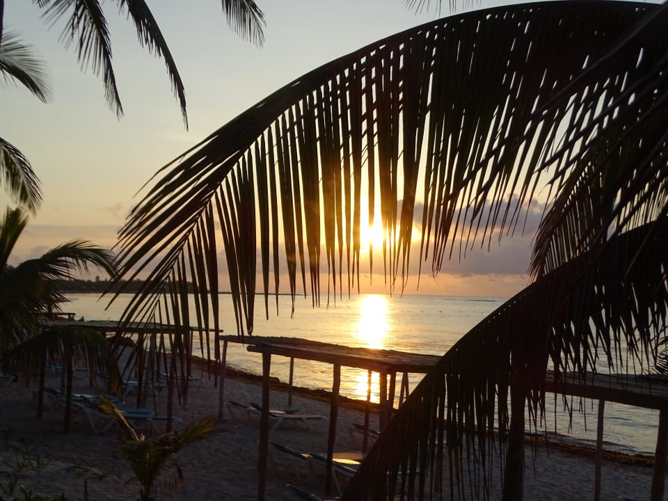 Strand Akumal Bay Beach & Wellness Resort