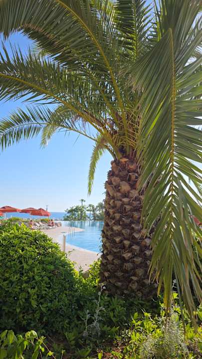 Pool Sunrise Resort Hotel