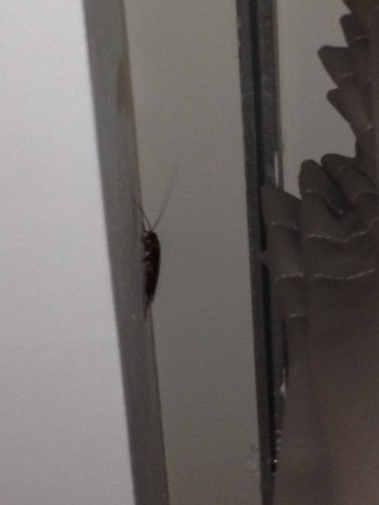 Zimmer Hotel Djerba Resort