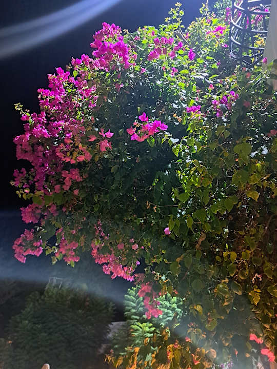 Außenansicht Paloma Family Club