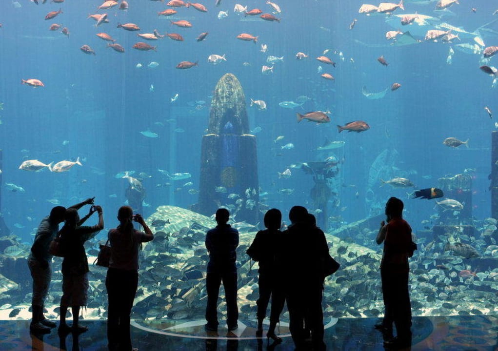 Lost Chambers Atlantis, The Palm