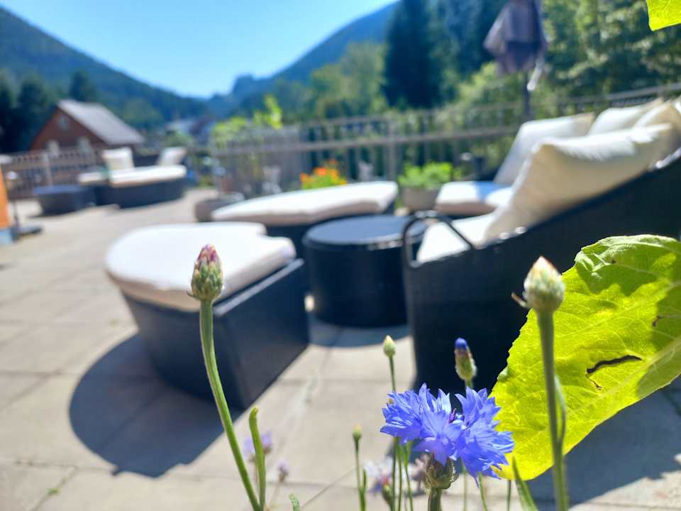 Gartenanlage Gasthof Gesslbauer