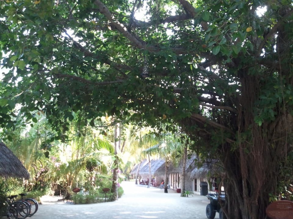 Shops Kuredu Island Resort & Spa