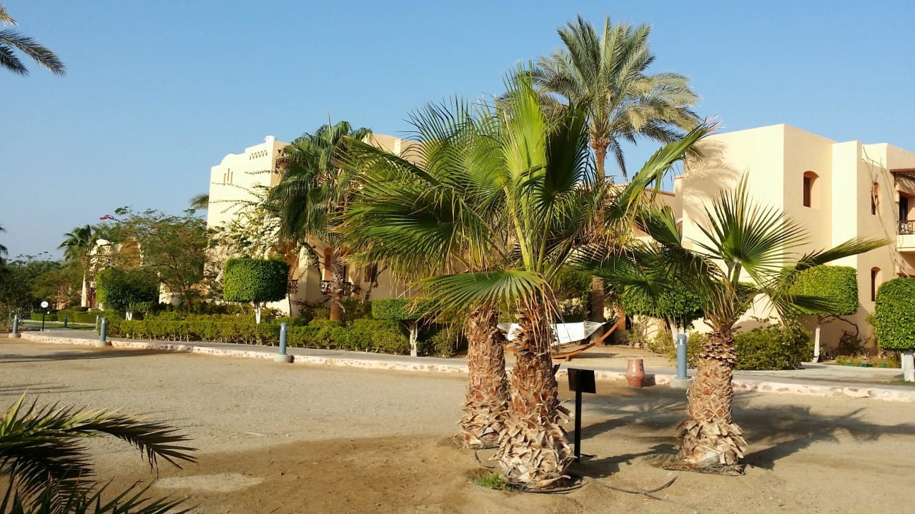 Palmen Steigenberger Coraya Beach - Adults only