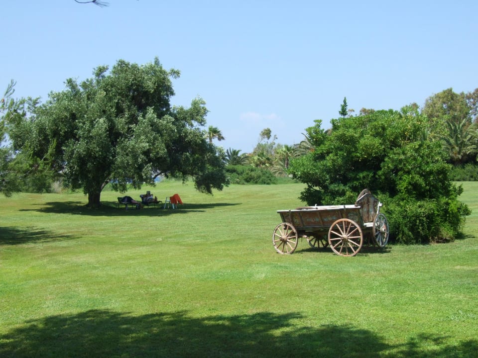 Ogród Caravia Beach Hotel