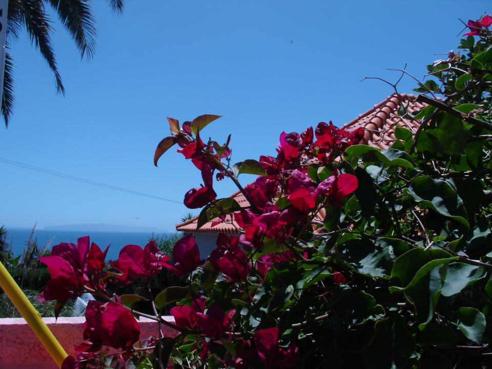 Außenansicht Hotel Inn & Art Madeira