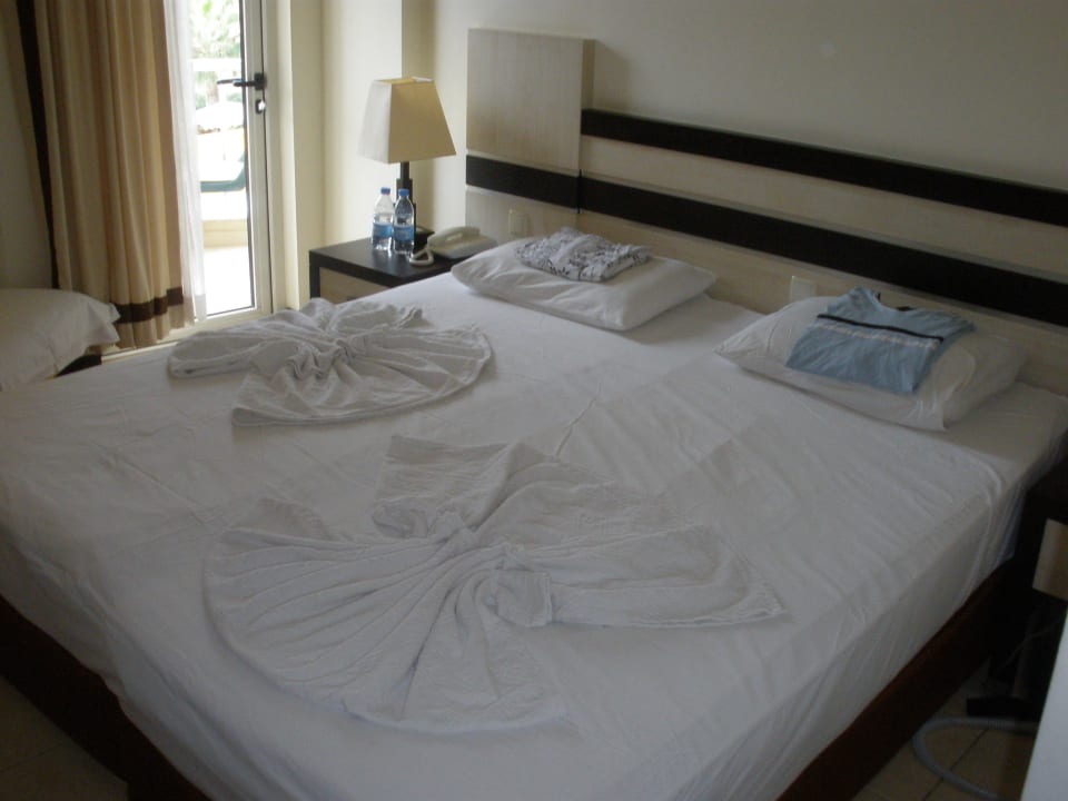 Schönes Zimmer  Hotel Orfeus Park