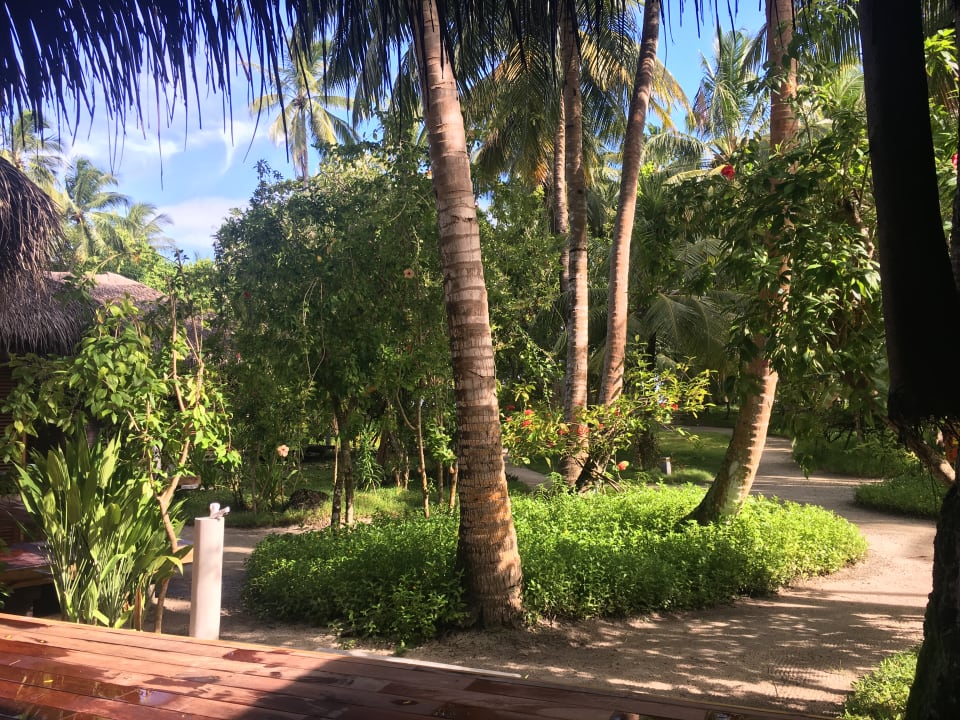 Gartenanlage Kuramathi Maldives
