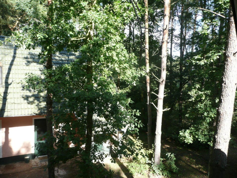 Blick aus dem Badezimmer Van der Valk Naturresort Drewitz