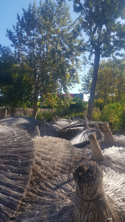 Gartenanlage İmperial Turkiz Resort Hotel