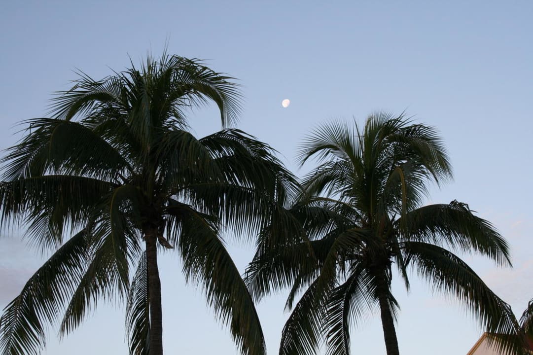 Vollmond um 6:15 Uhr Hotel Riu Tequila