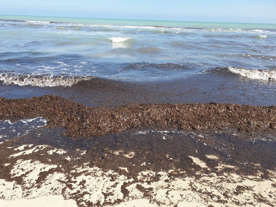 Strand Djerba Sun Beach Hotel & Spa