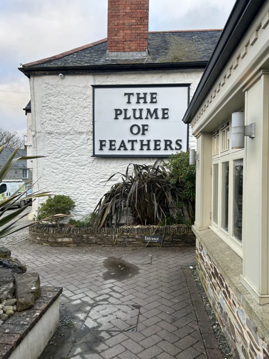 Sonstiges Plume of Feathers
