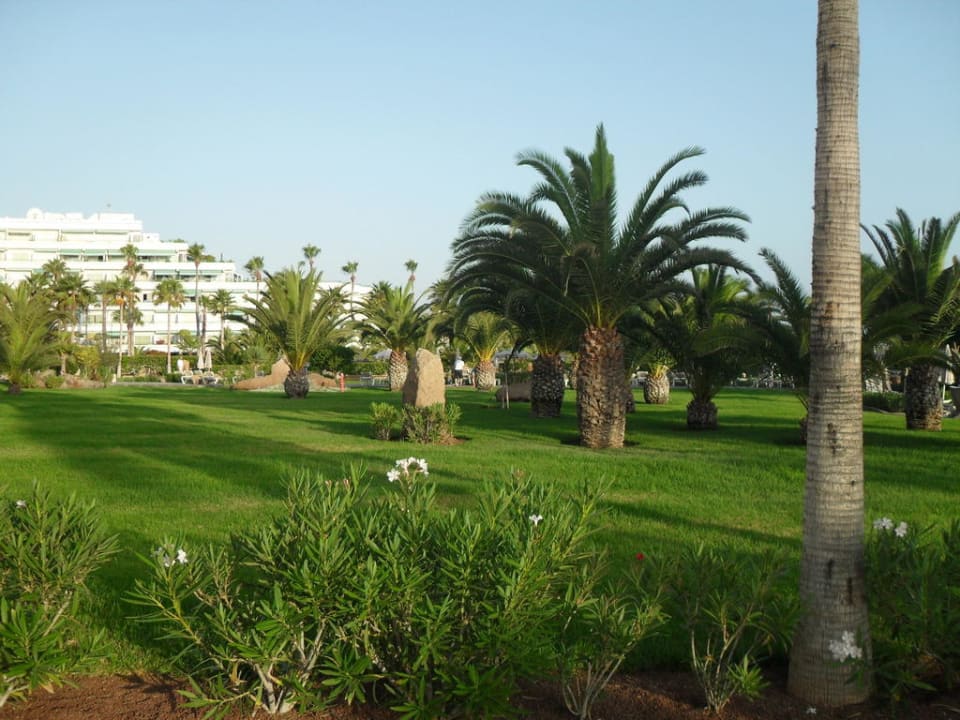 Garten Hotel Riu Palace Tenerife