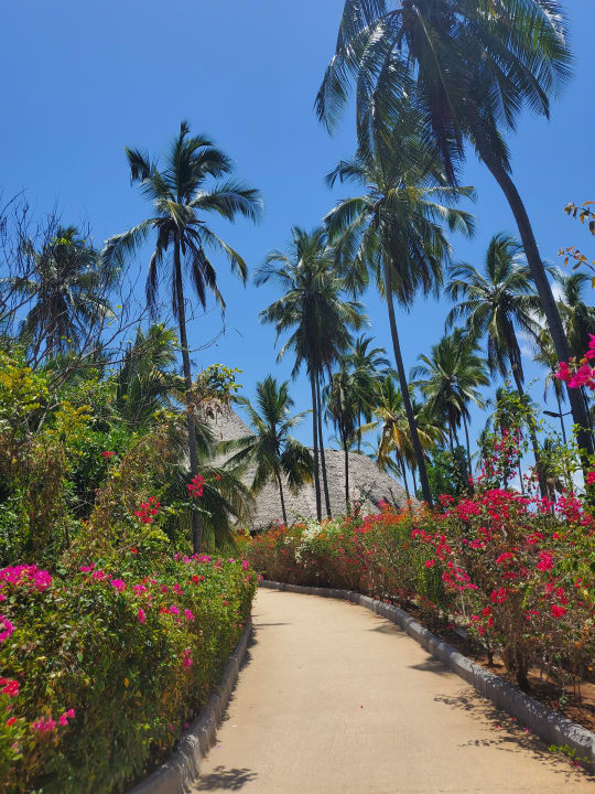 Gartenanlage Reef & Beach Resort