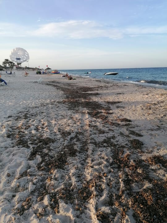 Strand Hotel Marhaba Palace