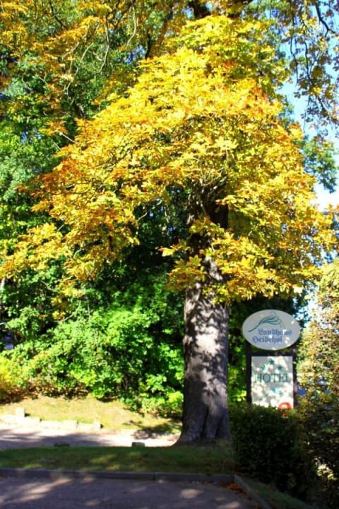 Herbst Landhaus Heidehof