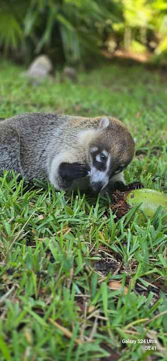 Sonstiges Iberostar Waves Paraiso del Mar
