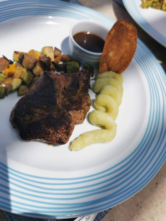 Gastro JAZ Elite Amara