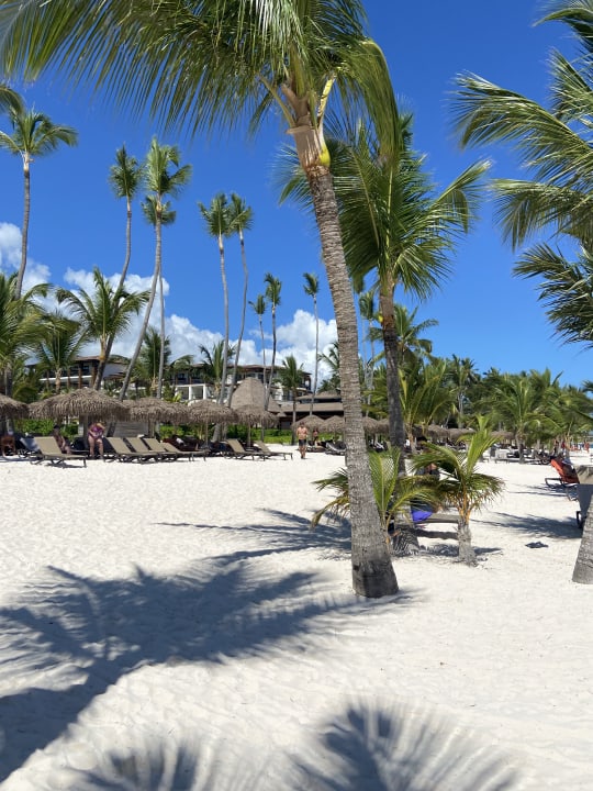Strand Lopesan Costa Bávaro Resort, Spa & Casino