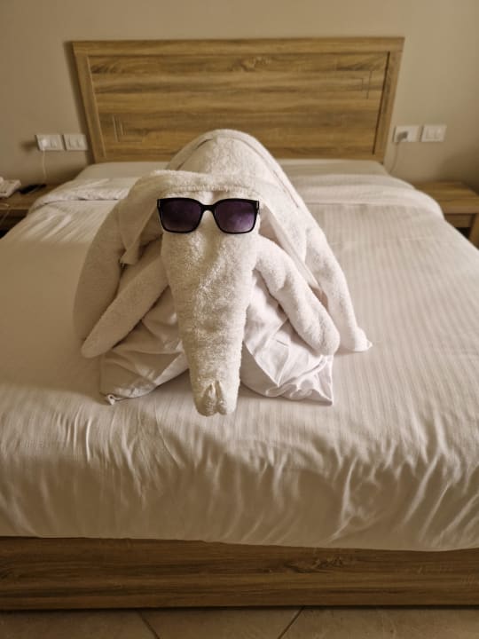 Zimmer Three Corners Sea Beach Resort