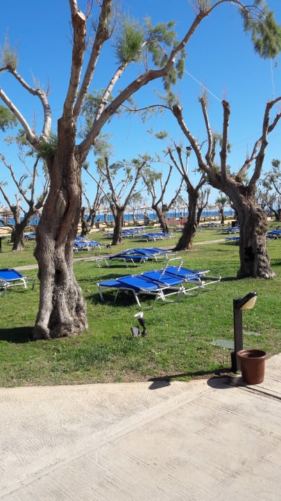 Außenansicht Anissa Beach & Village