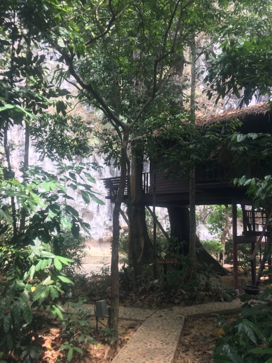 Zimmer Our Jungle House