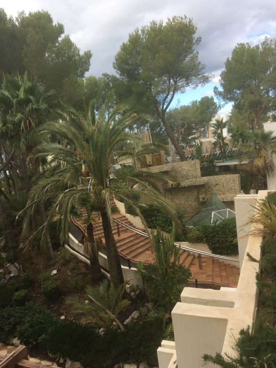 Ausblick allsun Hotel Bella Paguera