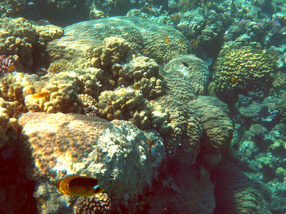 Sport & Freizeit Grand Makadi