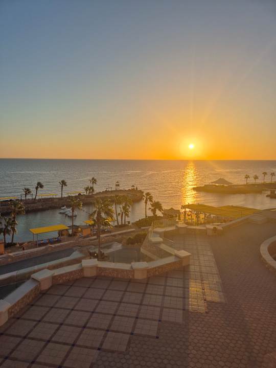 Gartenanlage Pickalbatros Citadel Resort