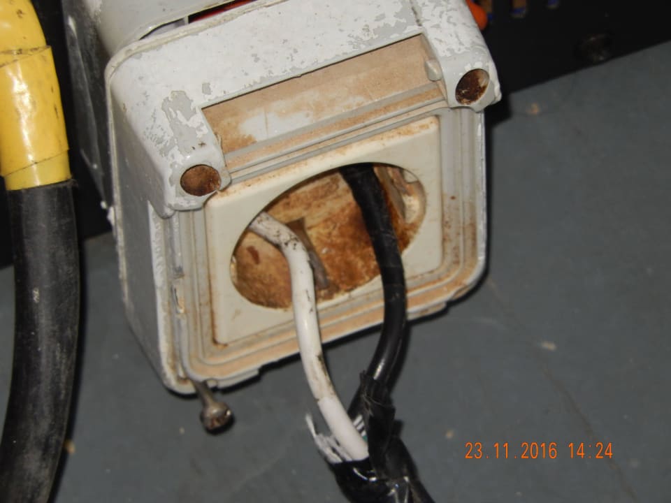 Das Ergebnis so geht das nicht Lebensgefahr Desert Rose