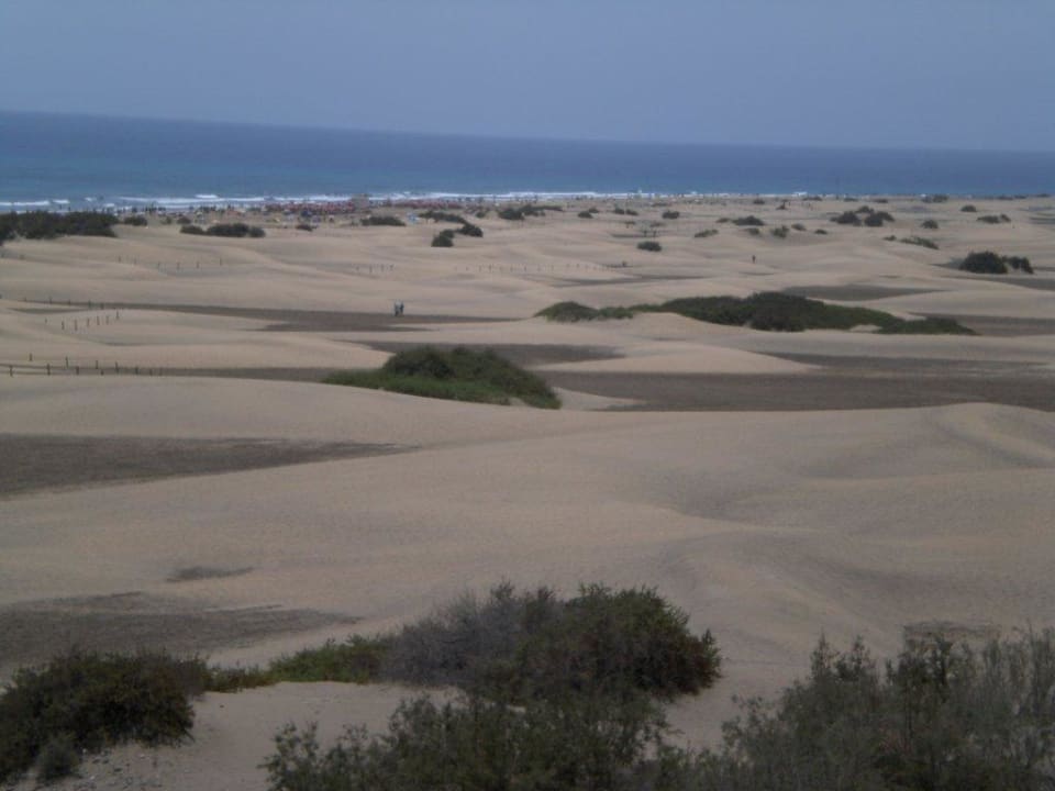 Dünen hinter dem Hotel Hotel Riu Palace Maspalomas Adults Only