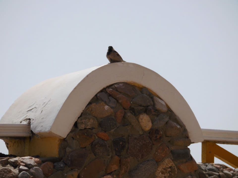 Besuch  SUNRISE Holidays Resort (Adults Only)