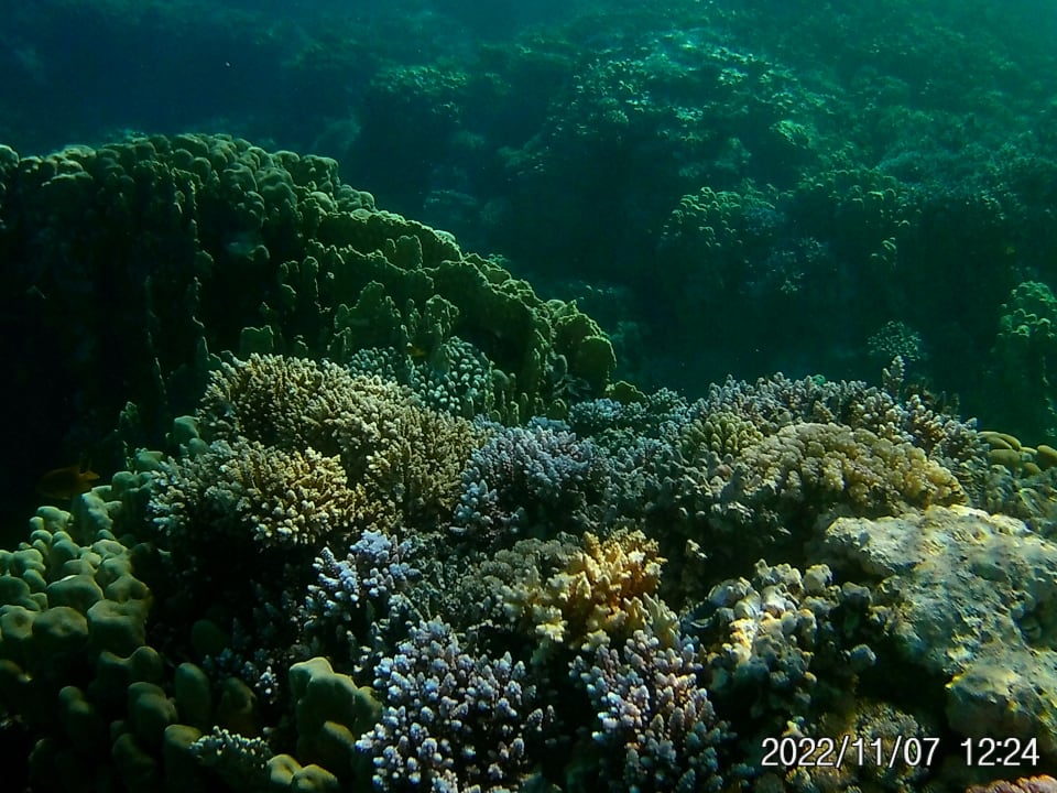 Strand Pickalbatros Alf Leila Wa Leila Resort - Neverland Hurghada