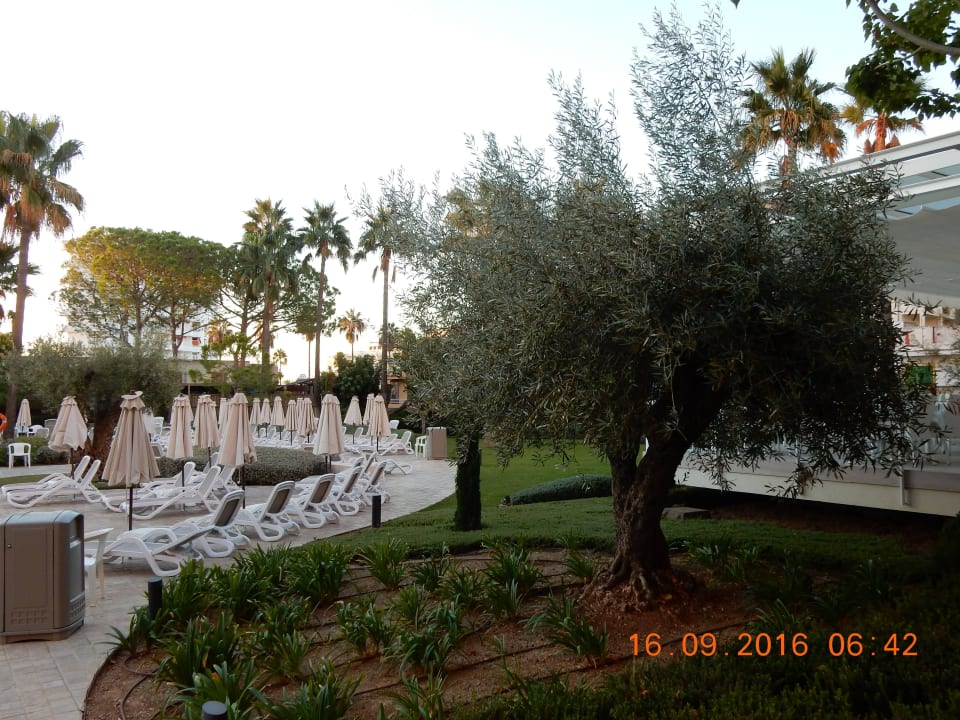 Said Hipotels Said  Hotel