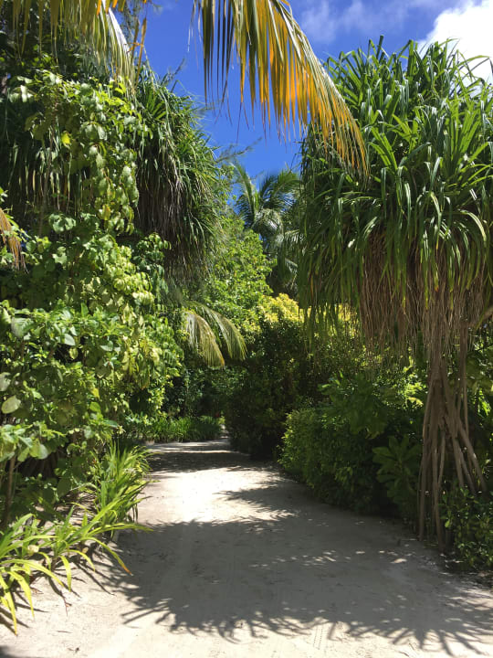 Gartenanlage NH Collection Maldives Havodda Resort