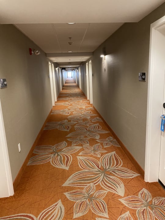 Sonstiges Hampton Inn & Suites Page - Lake Powell