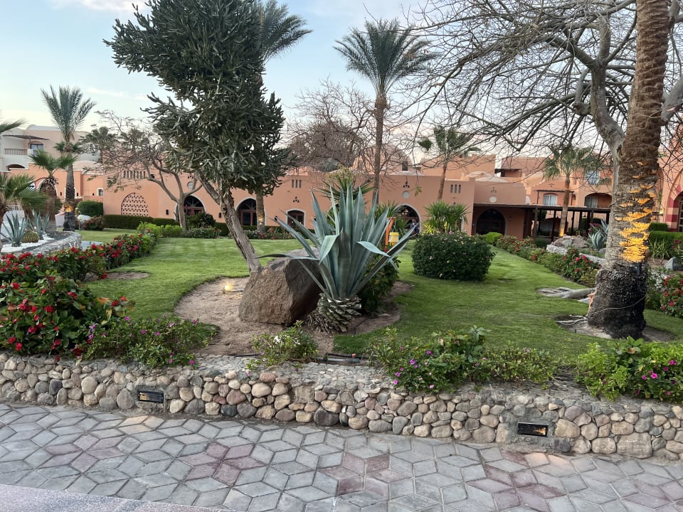 Gartenanlage Jaz Makadi Oasis Resort